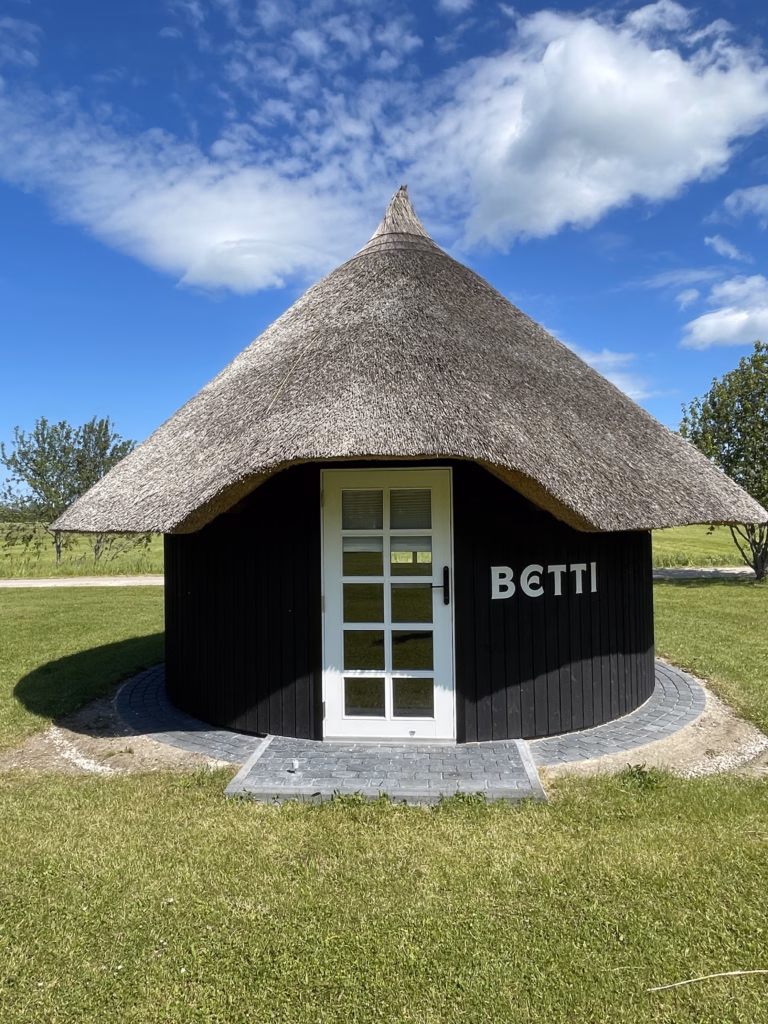 Rookatusega maja BETTI